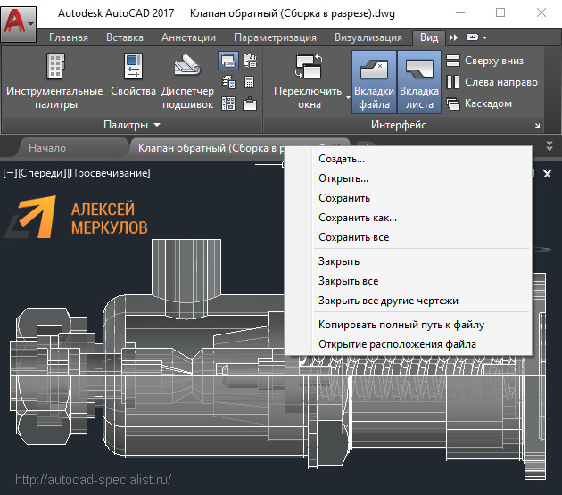 Открыть файл автокад. Вкладка вид в AUTOCAD. AUTOCAD вкладка Формат. Вкладки чертежей в автокаде. Вкладка визуализация Автокад.